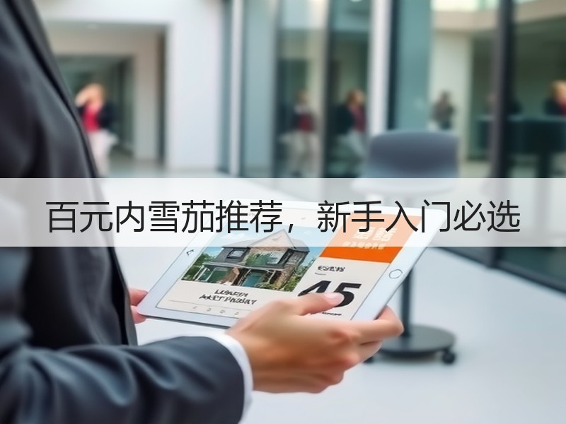 百元内雪茄推荐，新手入门必选