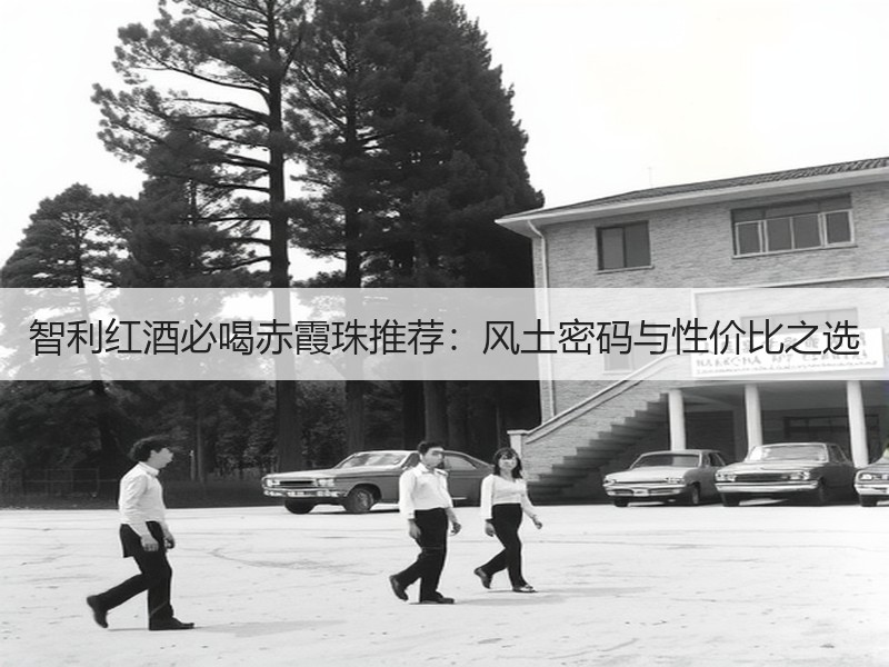 智利红酒必喝赤霞珠推荐：风土密码与性价比