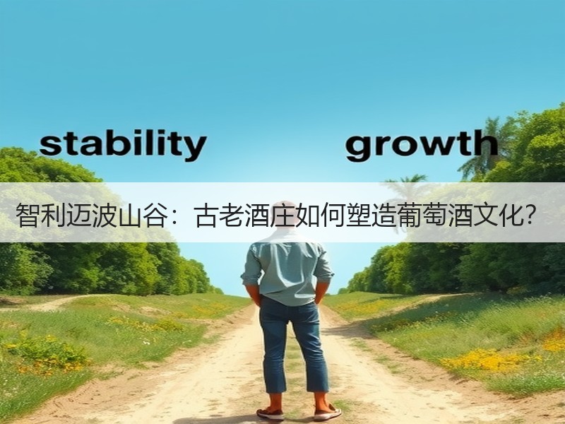 智利迈波山谷：古老酒庄如何塑造葡萄酒文化
