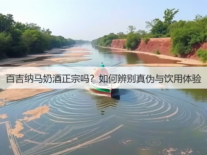 百吉纳马奶酒正宗吗？如何辨别真伪与饮用体
