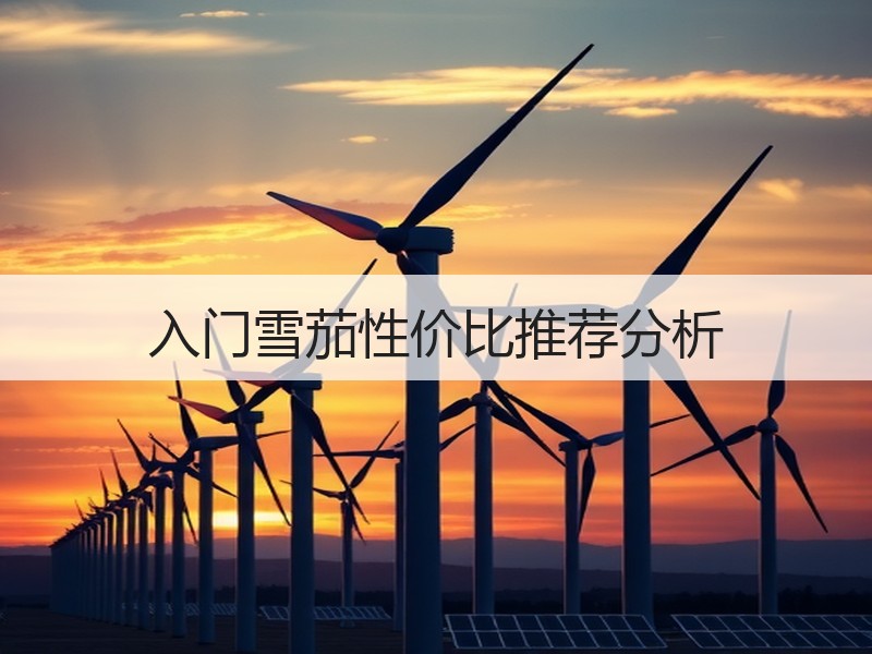 入门雪茄性价比推荐分析