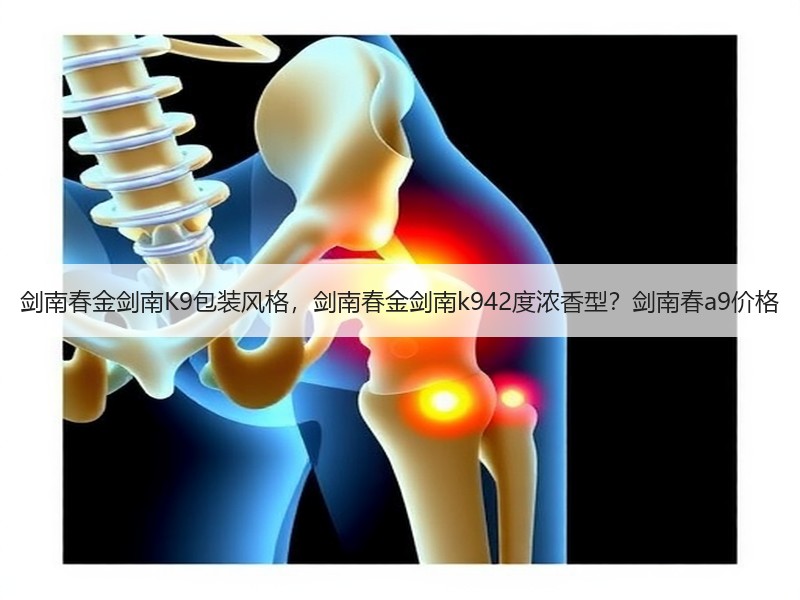 剑南春金剑南K9包装风格，剑南春金剑南k