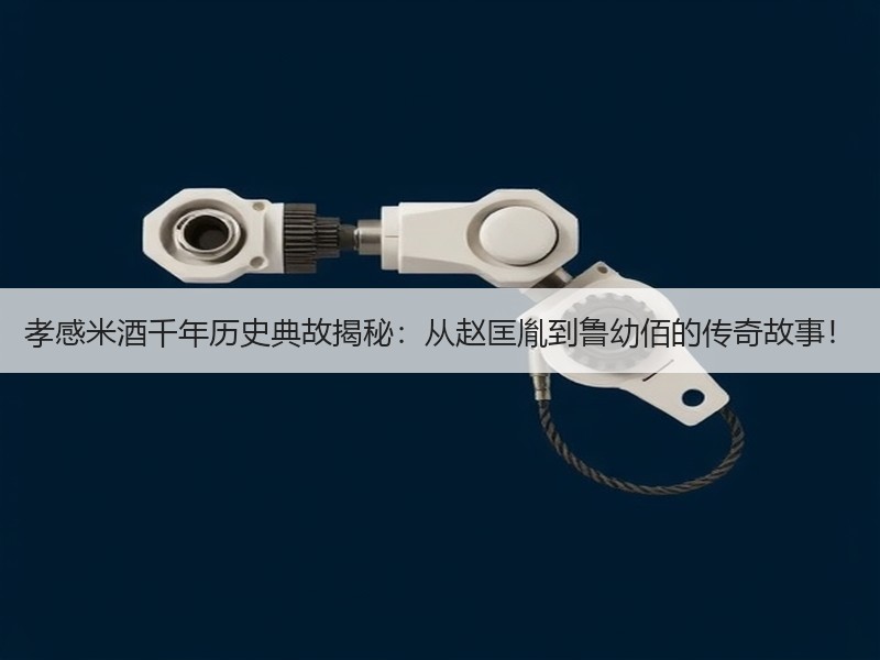 孝感米酒千年历史典故揭秘：从赵匡胤到鲁幼
