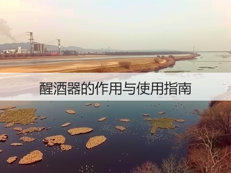 醒酒器的作用与使用指南
