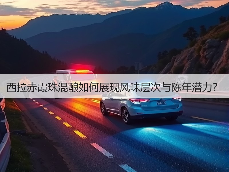 西拉赤霞珠混酿如何展现风味层次与陈年潜力