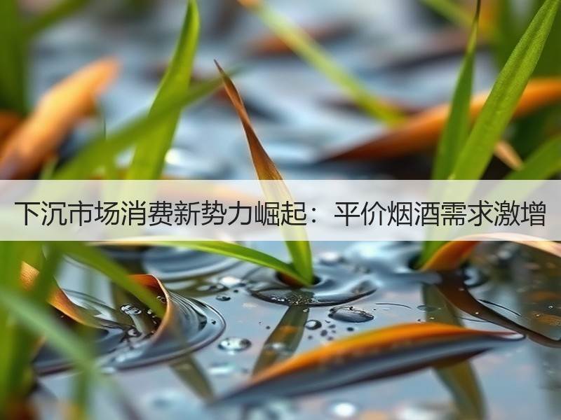 下沉市场消费新势力崛起：平价烟酒需求激增
