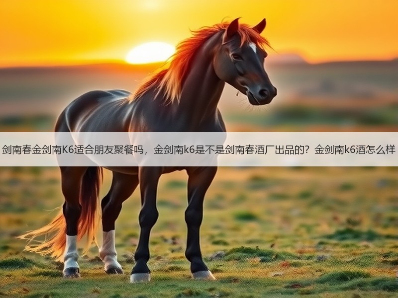 剑南春金剑南K6适合朋友聚餐吗，金剑南k