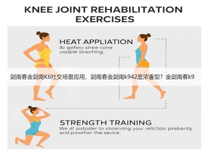 剑南春金剑南K6社交场景应用，剑南春金剑