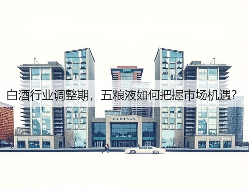 白酒行业调整期，五粮液如何把握市场机遇？