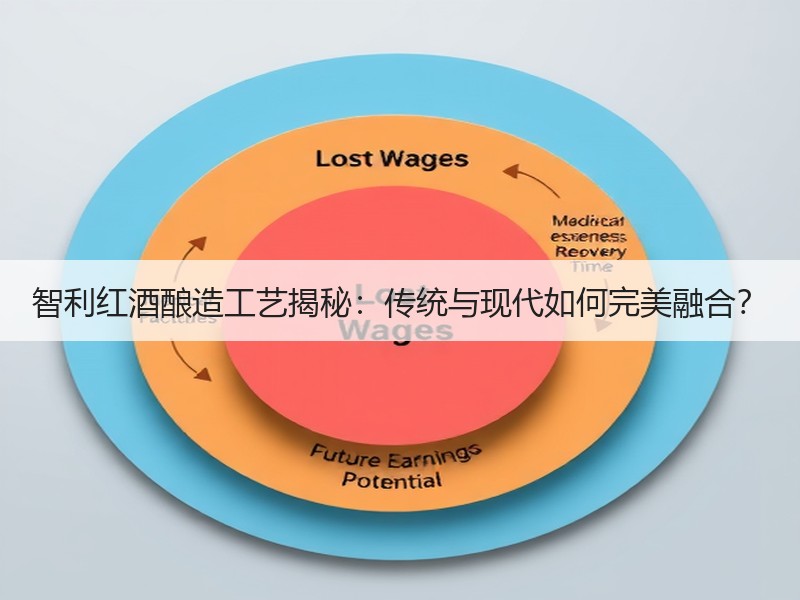 智利红酒酿造工艺揭秘：传统与现代如何完美