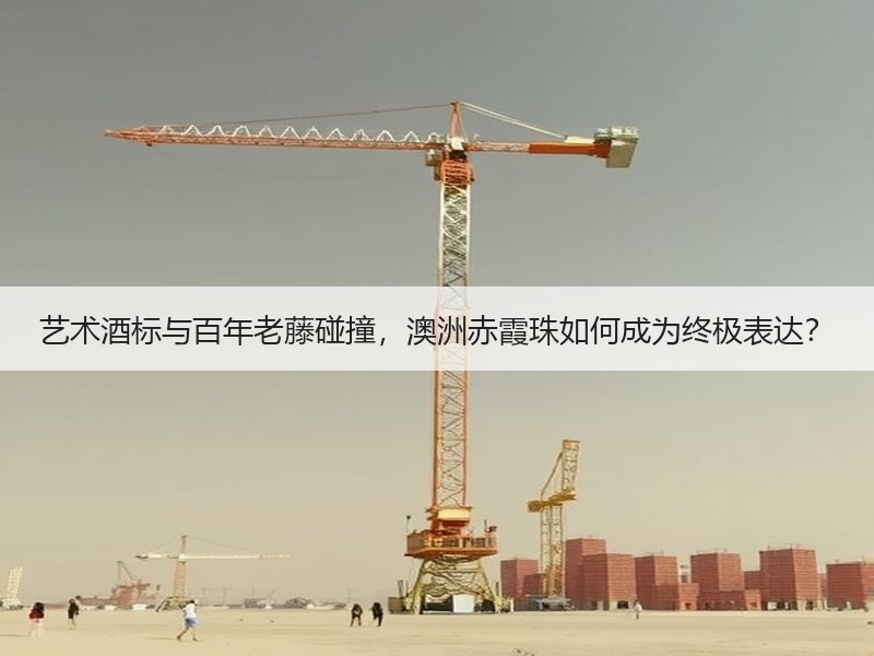 艺术酒标与百年老藤碰撞，澳洲赤霞珠如何成