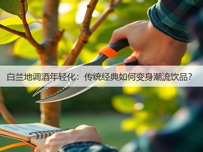 白兰地调酒年轻化：传统经典如何变身潮流饮