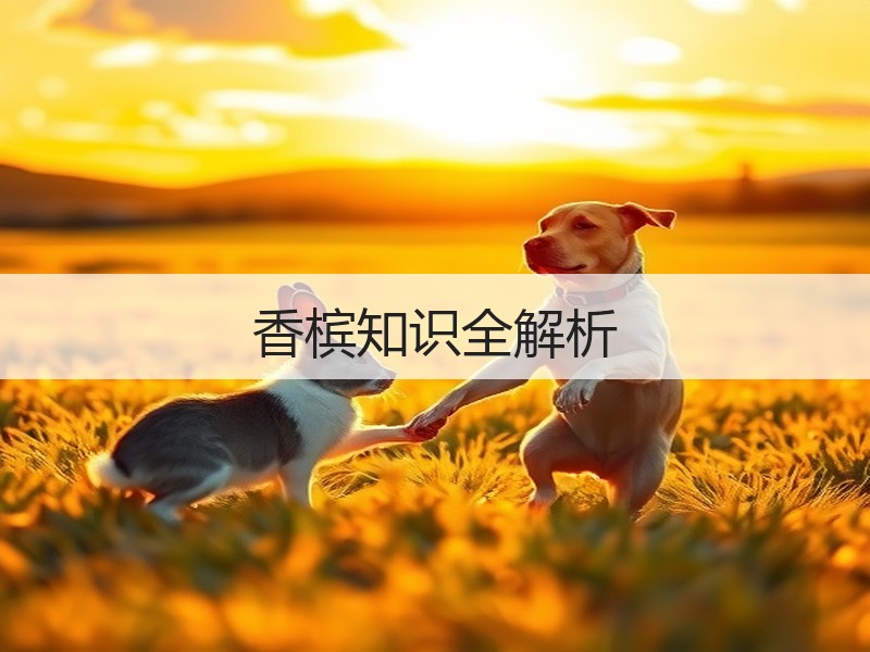 香槟知识全解析