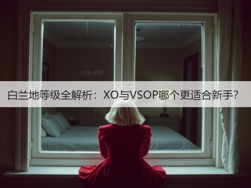 白兰地等级全解析：XO与VSOP哪个更适