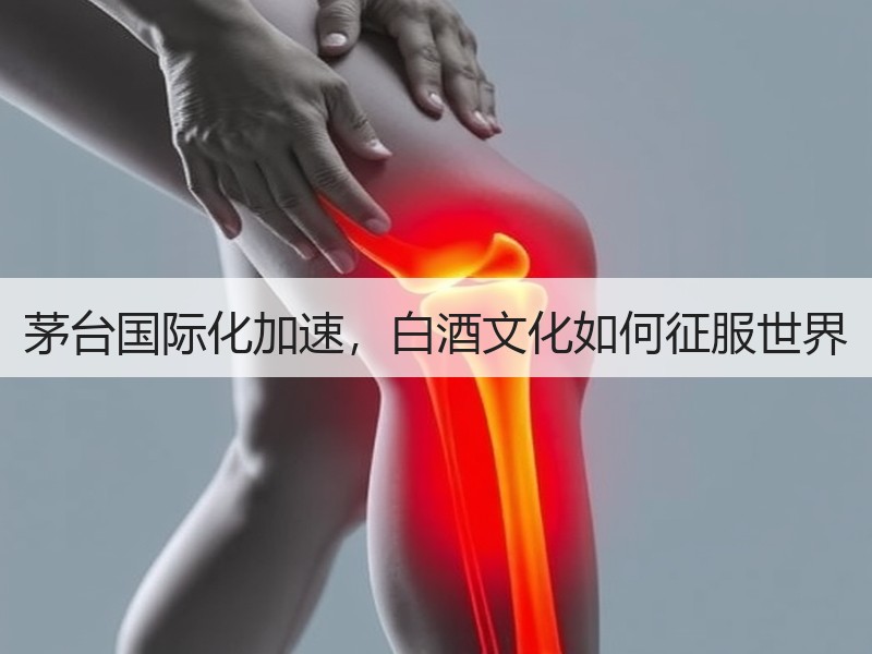 茅台国际化加速，白酒文化如何征服世界
