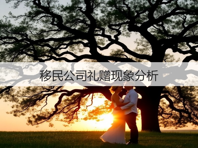 移民公司礼赠现象分析